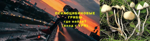 каннабис Белокуриха