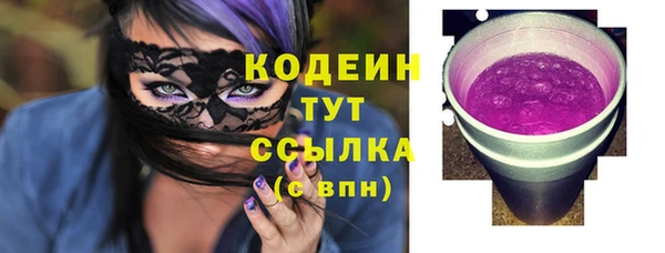 ECSTASY Богданович