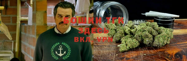 ECSTASY Богданович