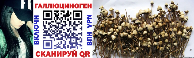 Галлюциногенные грибы мухоморы как найти наркотики Гатчина