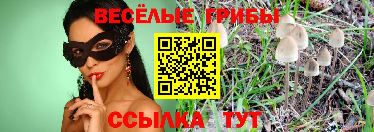 Галлюциногенные грибы MAGIC MUSHROOMS Гатчина