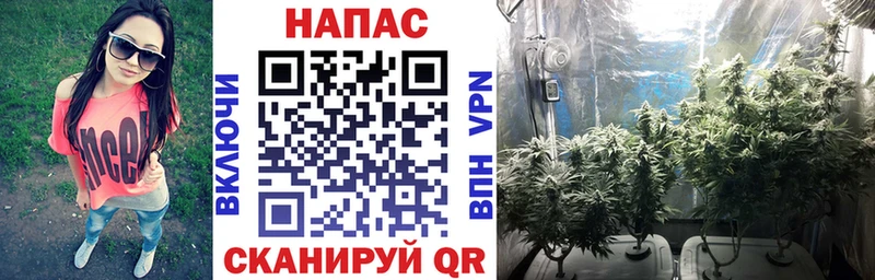 darknet клад  гидра ССЫЛКА  Гатчина  Шишки марихуана гибрид 